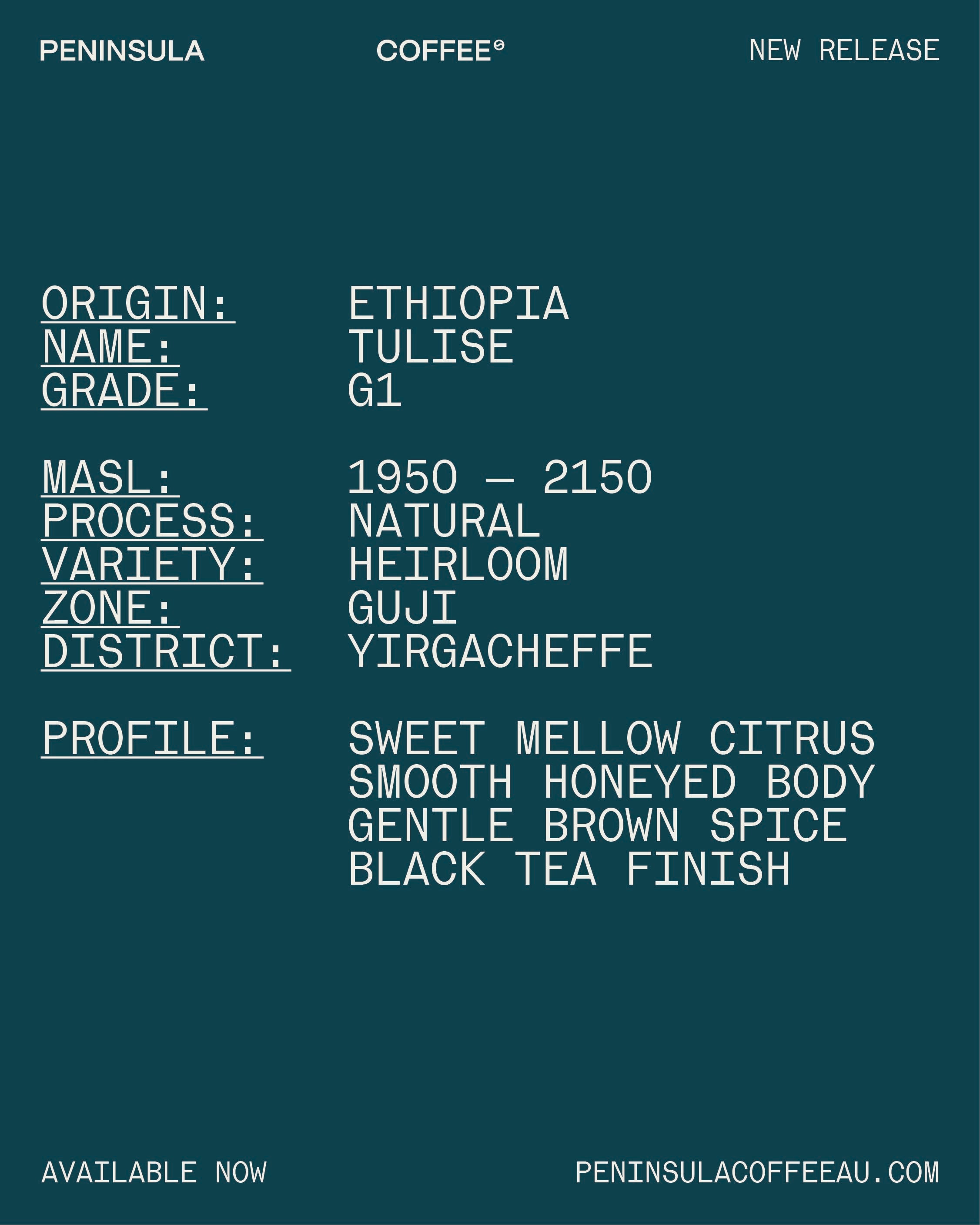 [ETHIOPIA] TULISE G1 NATURAL GREEN BEAN
