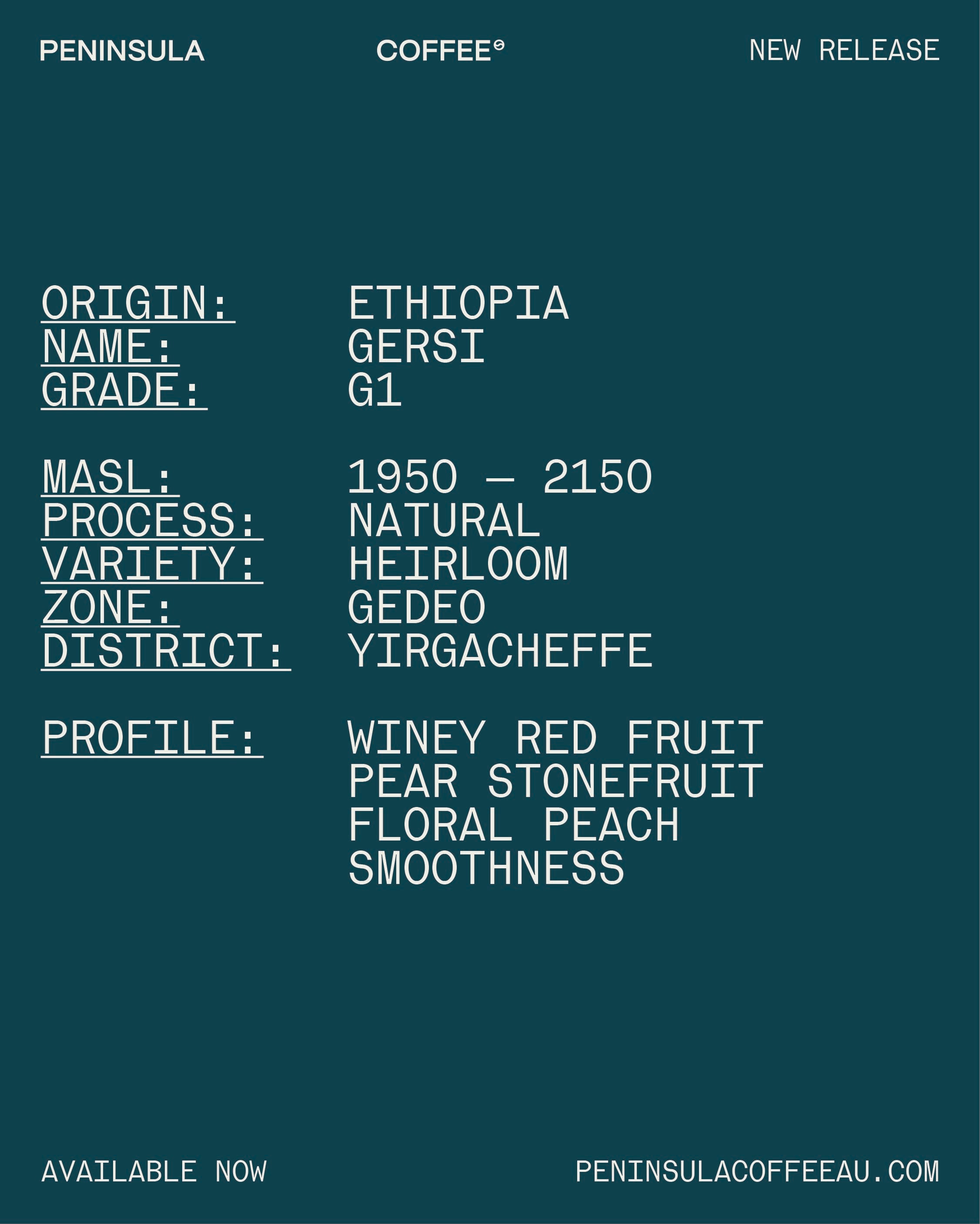 [ETHIOPIA] GERSI G1 NATURAL GREEN BEAN