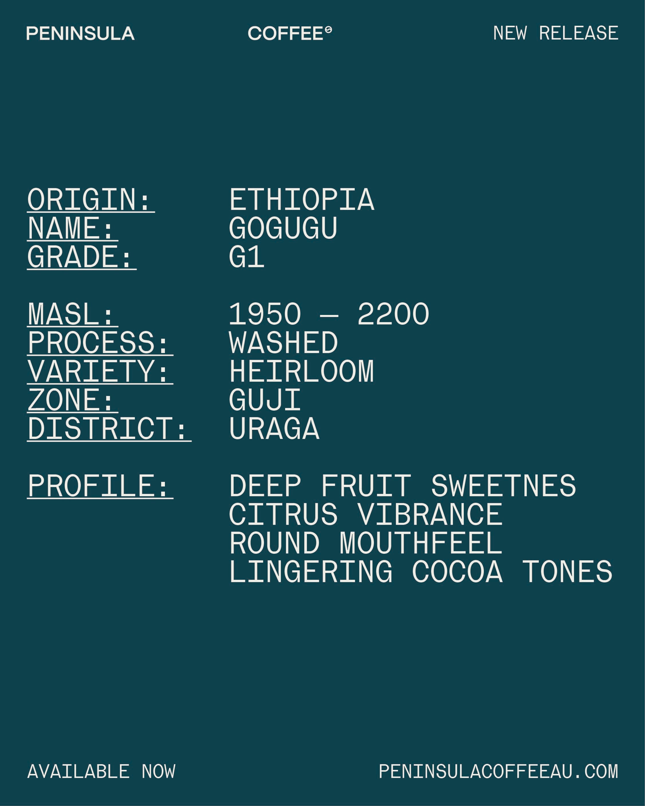 [ETHIOPIA] GOGUGU G1 WASHED GREEN BEAN