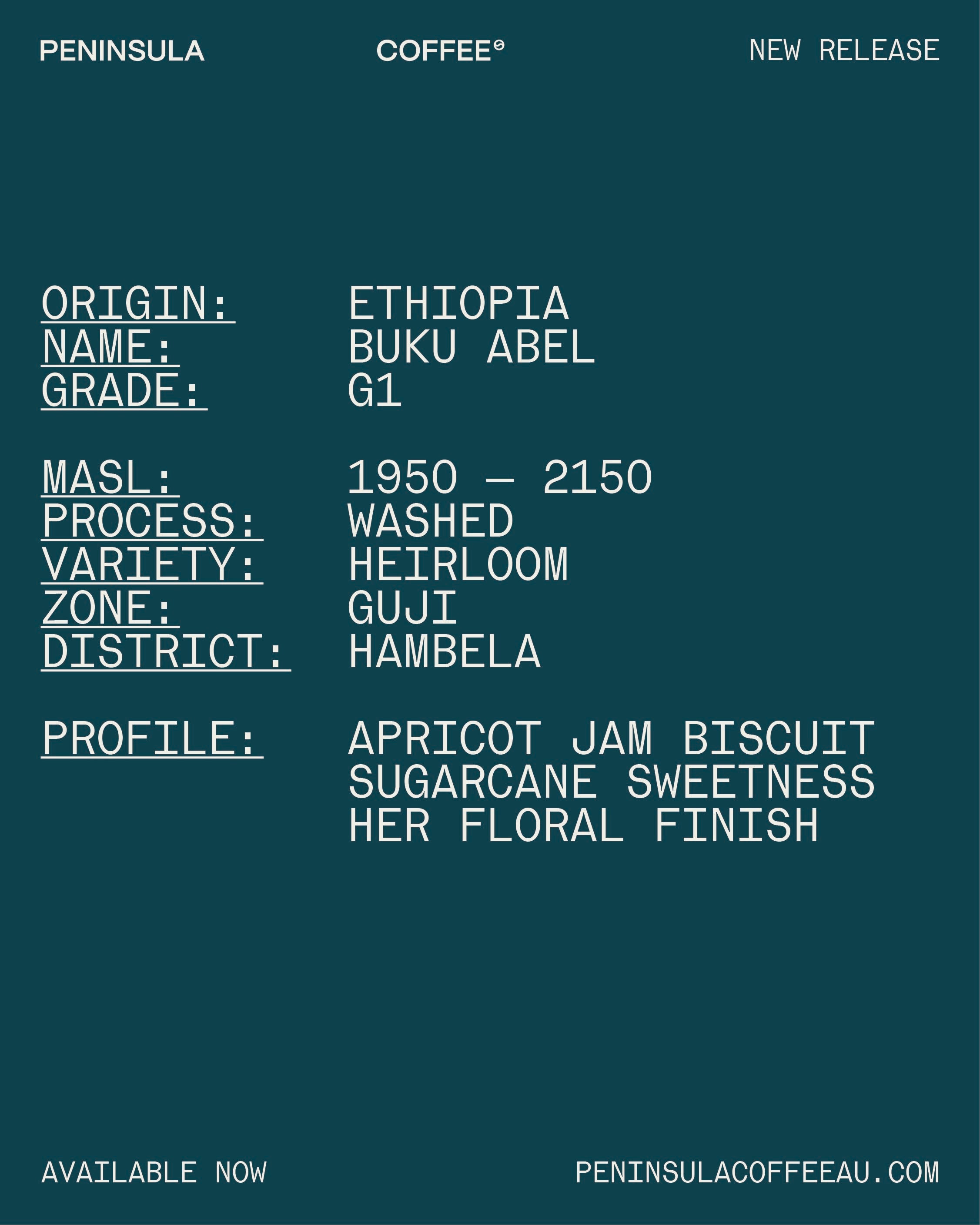 [ETHIOPIA] BUKU ABEL G1 WASHED GREEN BEAN