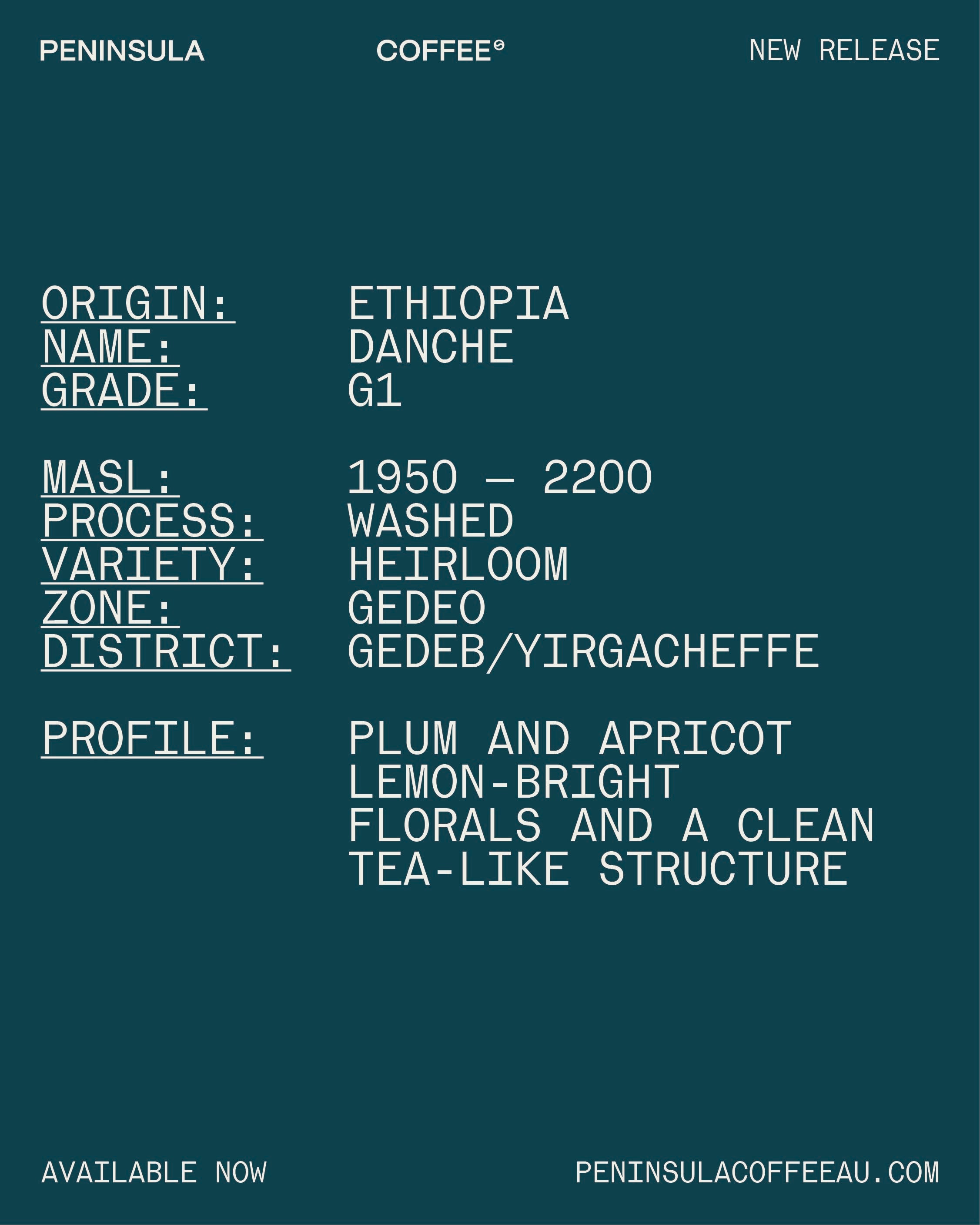 [ETHIOPIA] DANCHE G1 WASHED GREEN BEAN