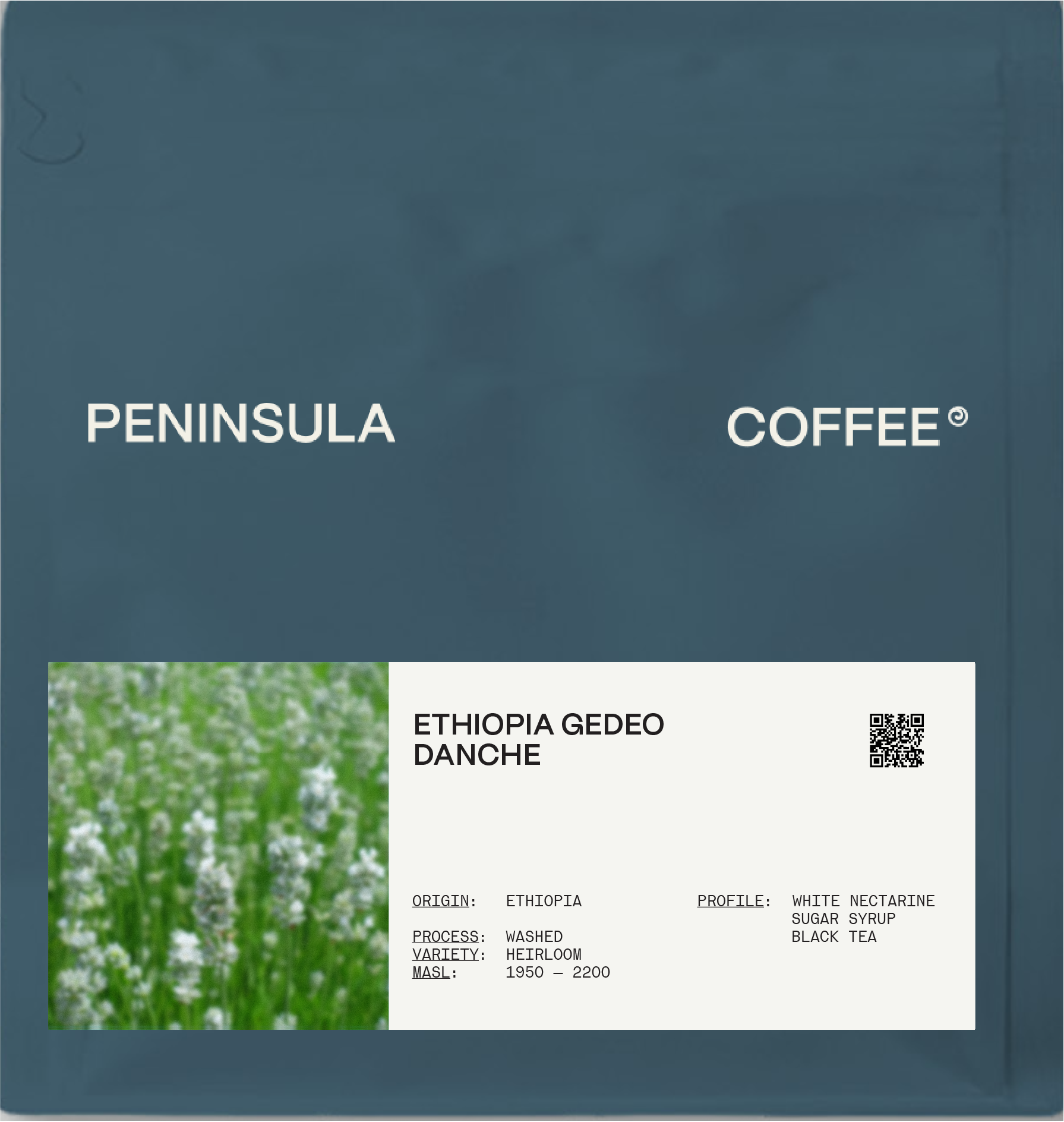 [ETHIOPIA] DANCHE G1