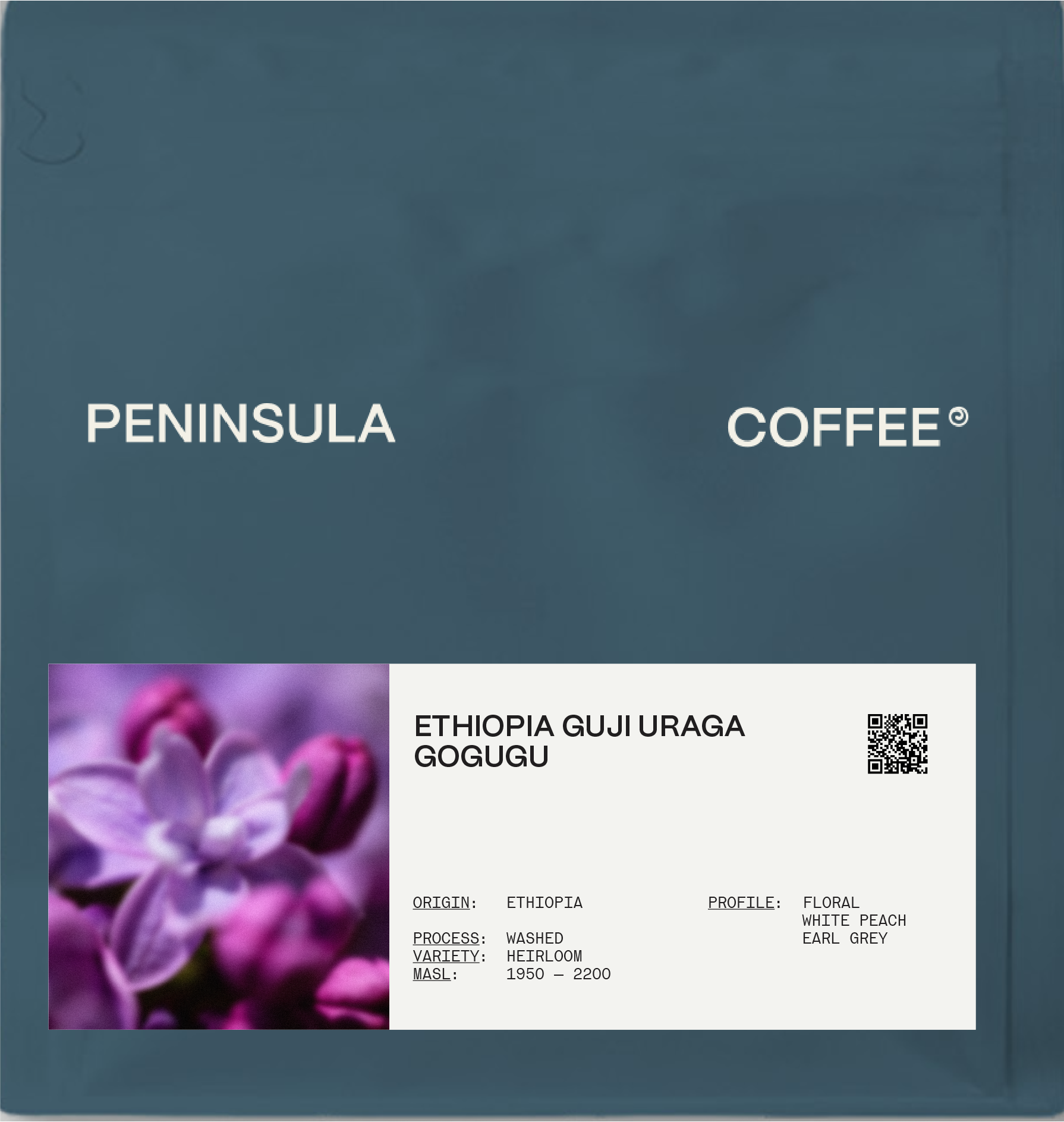 [ETHIOPIA] GOGUGU G1